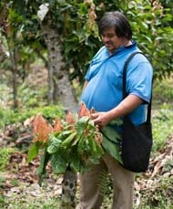 fundación Yuma Siembra